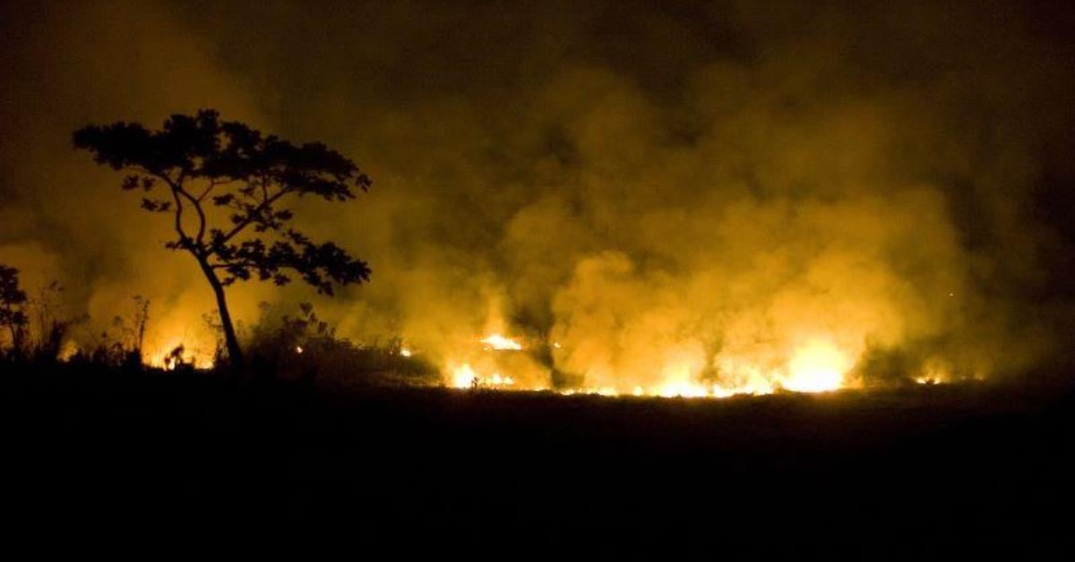 Governo sanciona lei que libera verba emergencial contra queimadas