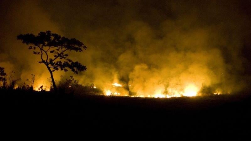 Lei autoriza repasses diretos do Fundo Nacional de Meio Ambiente a estados, municípios e ao Distrito Federal.