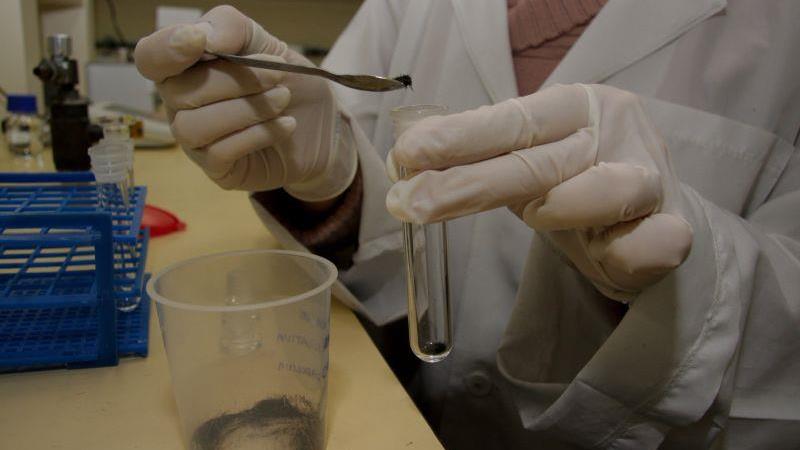 Exigência de toxicológico elevaria o número de pessoas dirigindo sem carteira, segundo o governo federal.