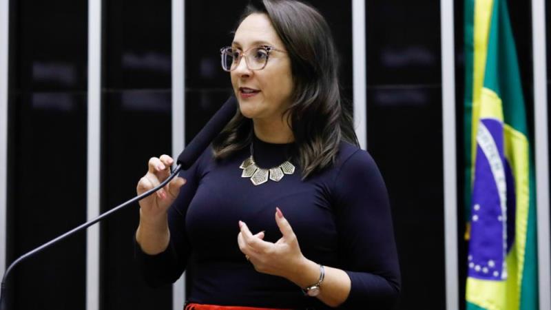 A deputada Renata Abreu (Podemos-SP) é a autora do projeto.