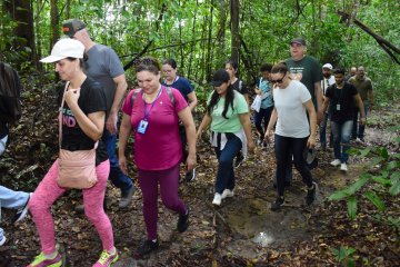 Trilha no Jardim Botânico
