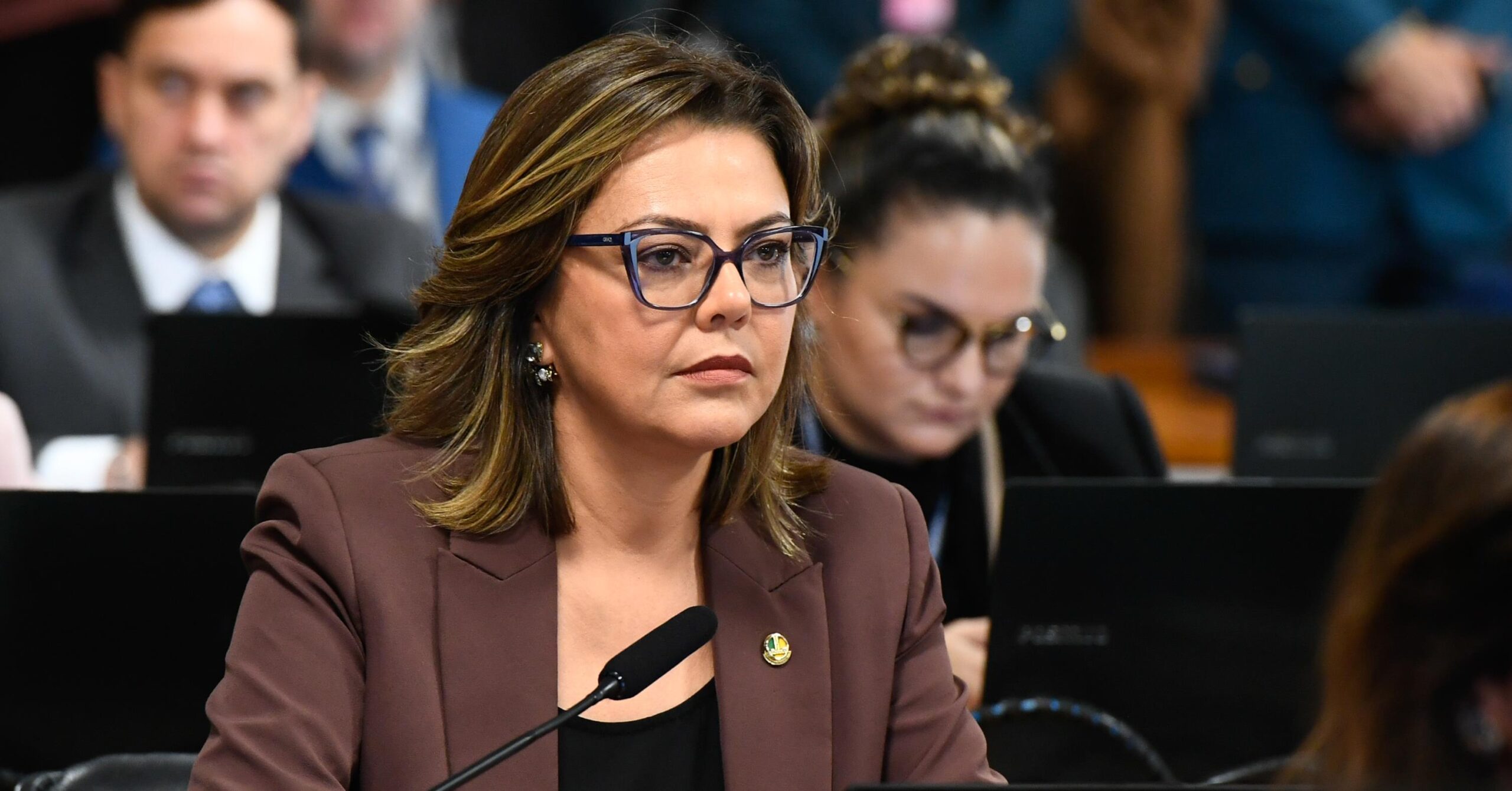 Senado discute feminicídio e violência doméstica em sessão temática