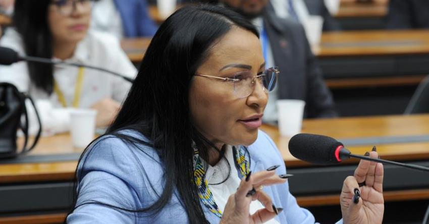 Sobras eleitorais: deputada pede que decisão do STF vá ao plenário