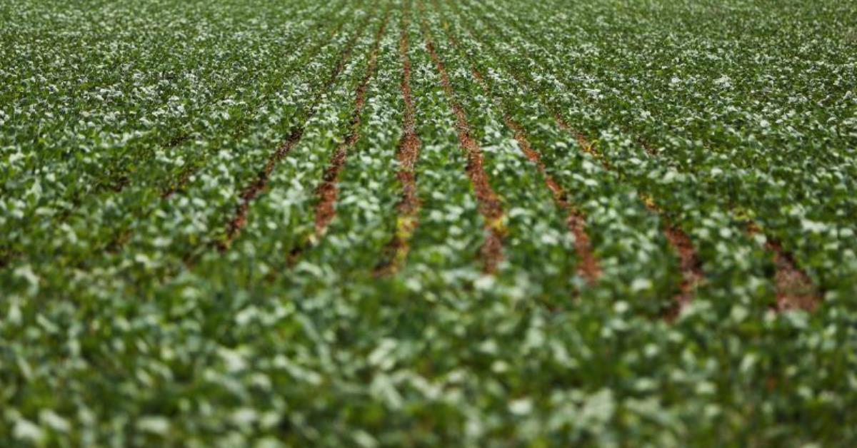 Bancada do agro pede resposta “firme e estratégica” com taxas de Trump