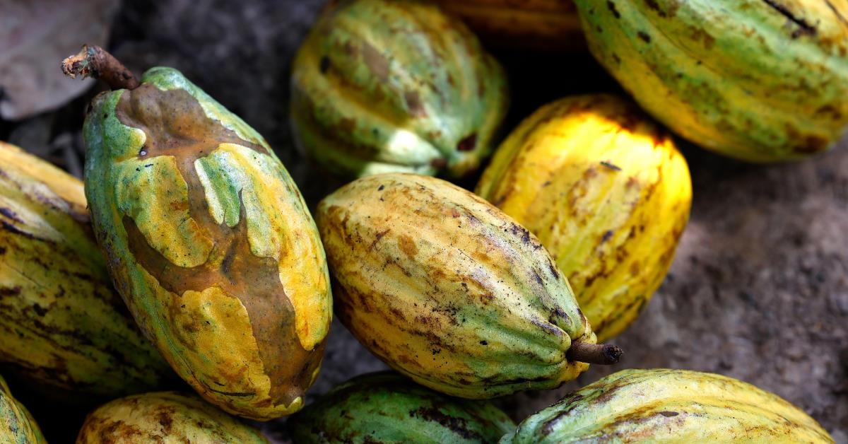 Brasil volta a ficar fora do Mapa da Fome