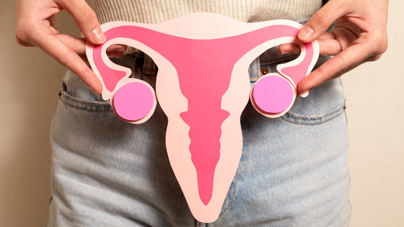 Projeto cria programa para tratar mulheres com adenomiose.