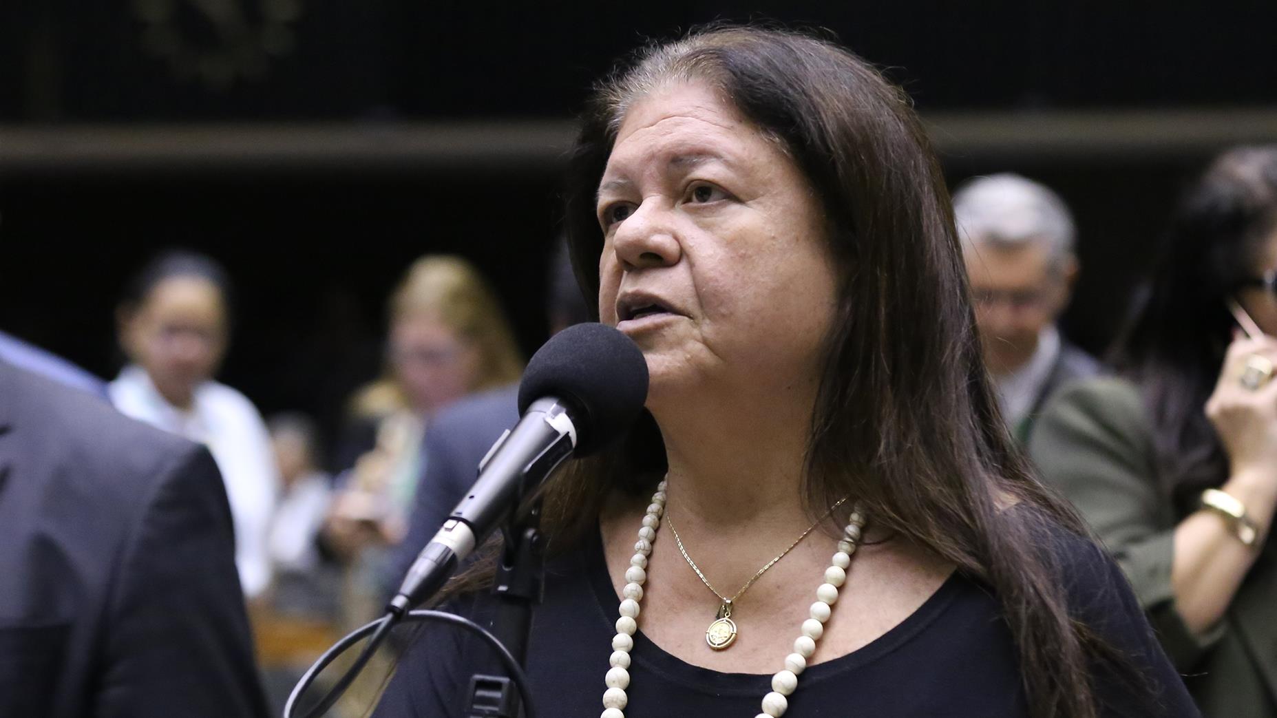 Dep. Laura Carneiro (PSD-RJ).