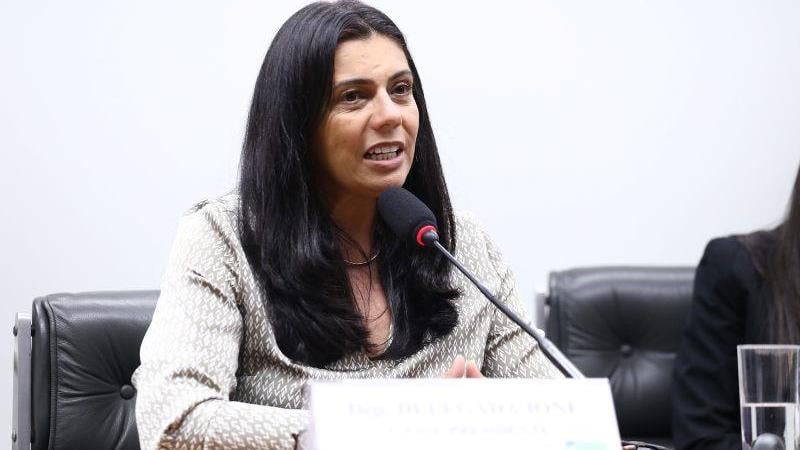 Audiência foi marcada por iniciativa da deputada Delegada Ione (Avante-MG).