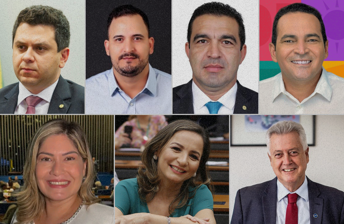 Conheça o perfil dos sete novos deputados; cinco já passaram pela Casa