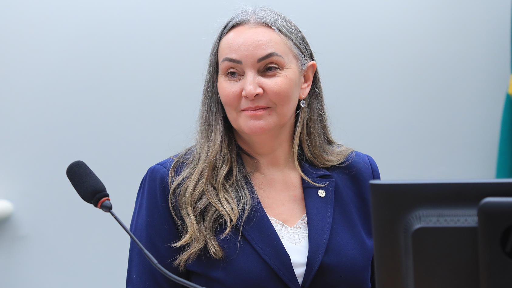 Deputada argumenta que medida prejudica indústria nacional em meio a crise com os EUA.