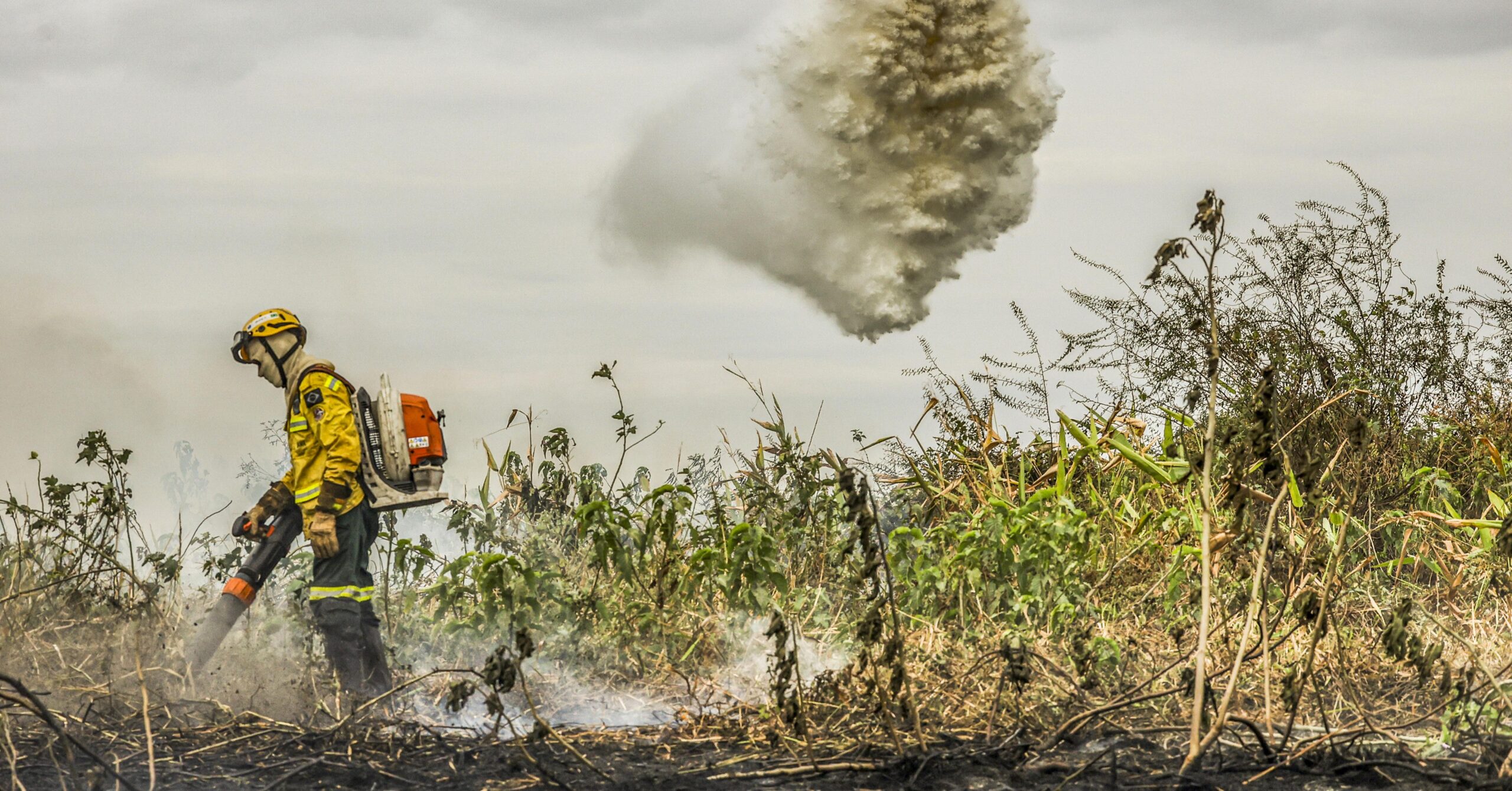 Fundo Amazônia financiará combate a incêndios no Cerrado e Pantanal