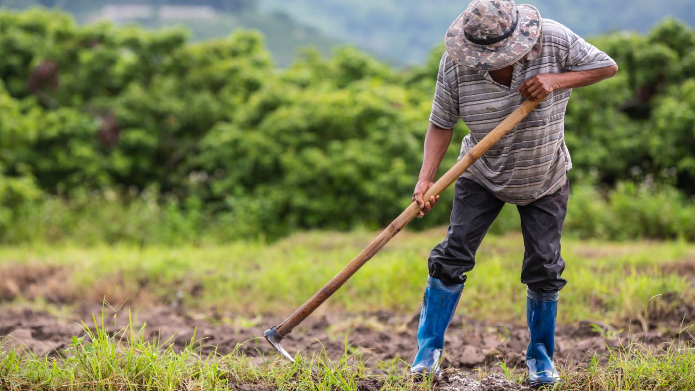 Nova lei quer reduzir migração de jovens para as cidades.