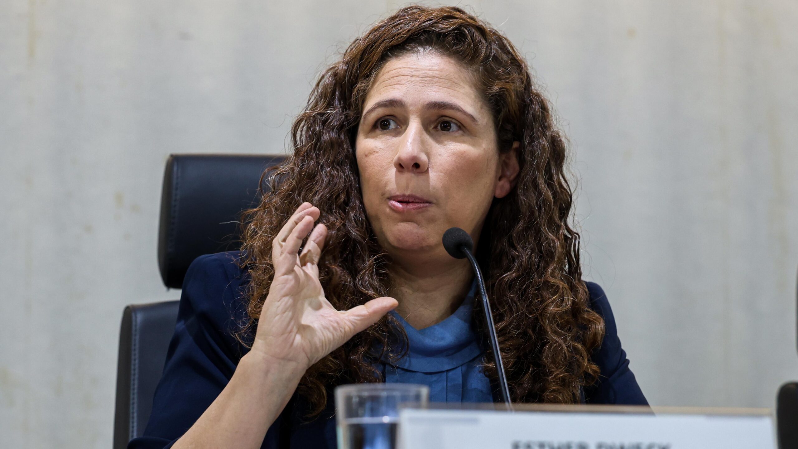 A ministra da Gestão e da Inovação em Serviços Públicos, Esther Dweck.