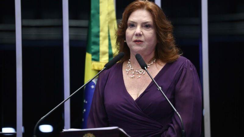 Projeto é assinado pela deputada Fernanda Pessoa (União Brasil-CE).