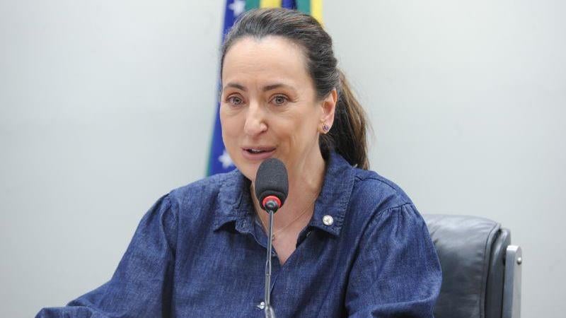A deputada Rosangela Moro (União Brasil-PR) relatou o projeto na Comissão de Saúde.