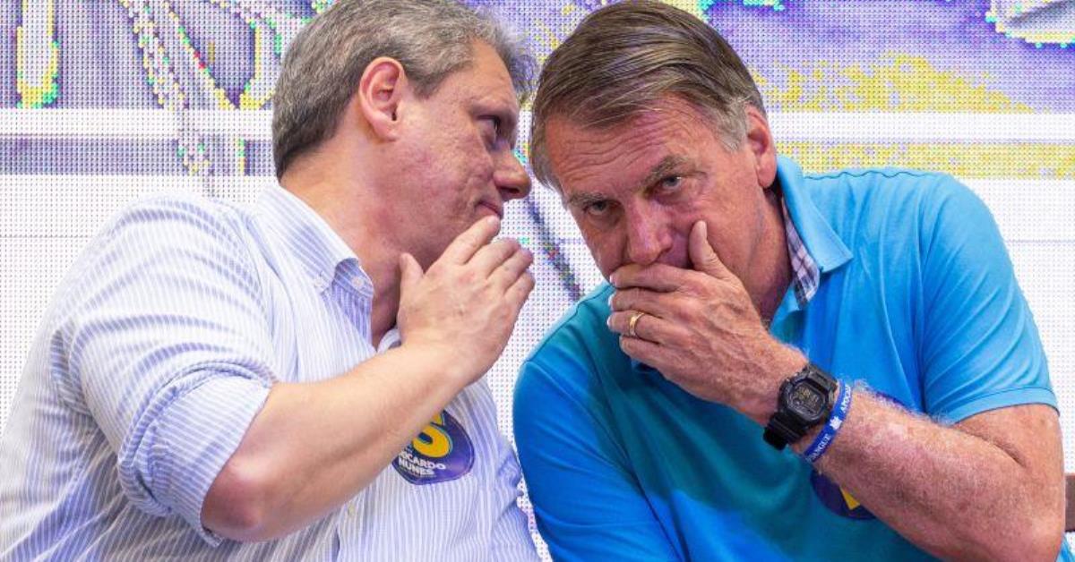 Quaest: aliados de Bolsonaro oscilam para baixo em 2º turno com Lula