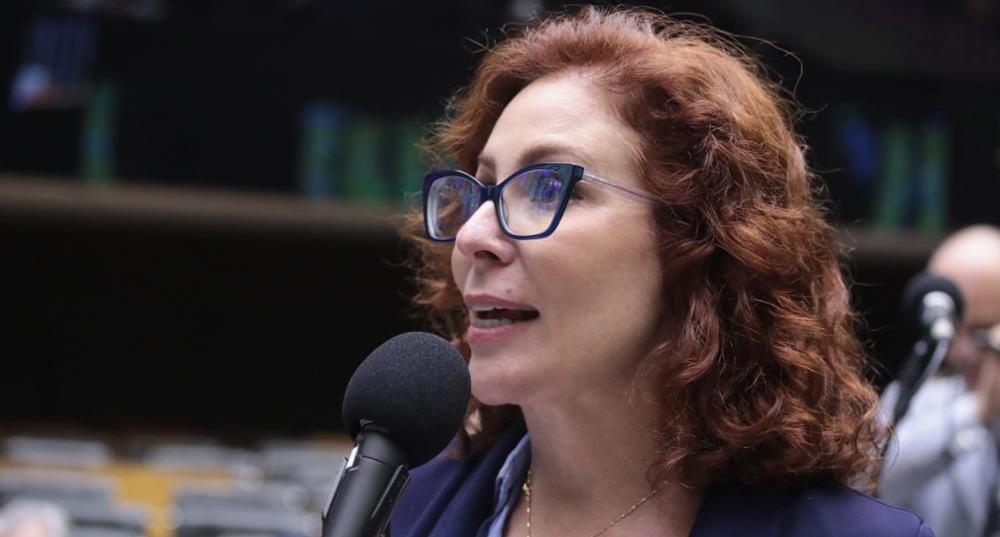 Receio de ir contra STF vai pesar na votação, diz advogado de Zambelli