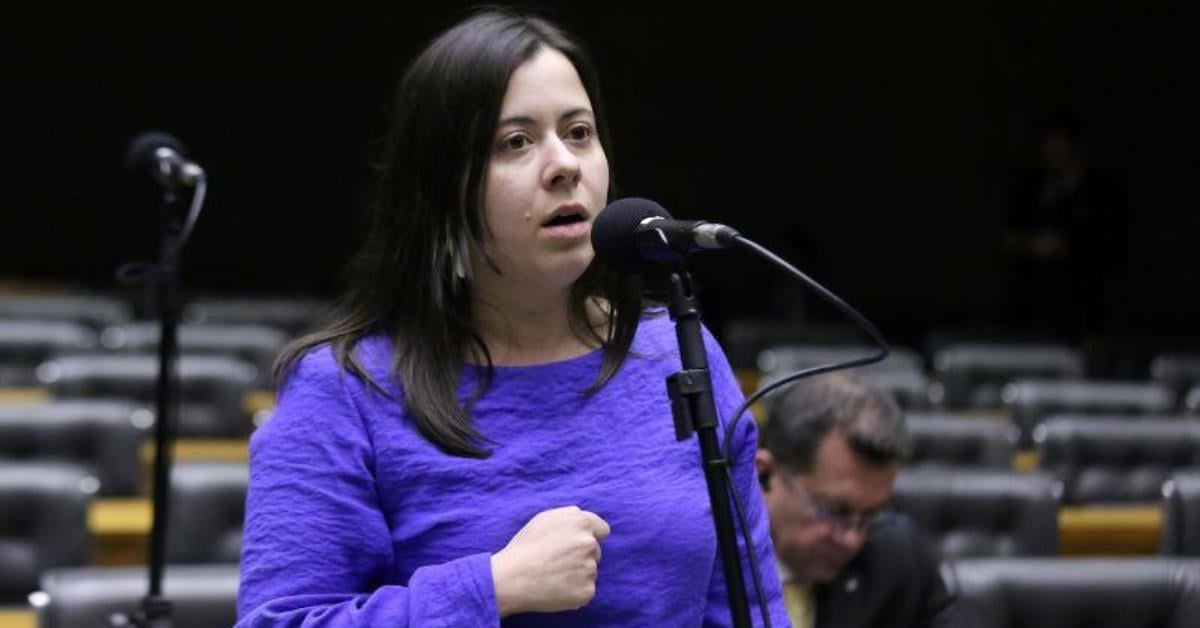 Sâmia propõe taxação sobre jatos privados e voos de luxo