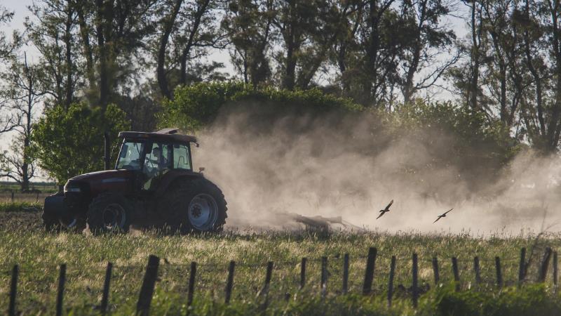 Taxação de Trump impacta setor do petróleo e o agro brasileiro.