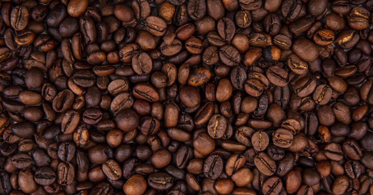 Cafeicultores manifestam apoio ao plano do governo contra tarifaço