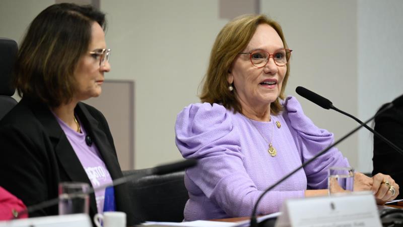 A medida recebeu 30 propostas de emendas, das quais a relatora acatou três.