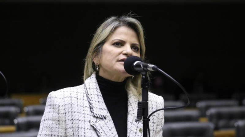 Diagnóstico precoce e apoio psicossocial a cuidadores também foram discutidos na subcomissão anterior.