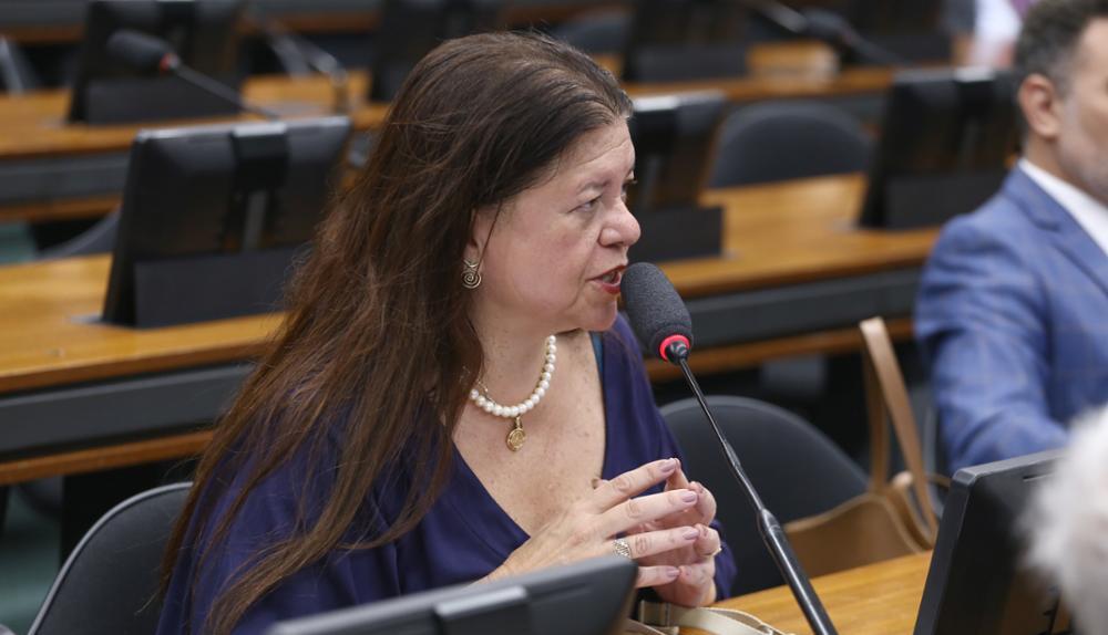 Laura Carneiro, relatora do projeto, classificou como urgente a necessidade de o Congresso tratar do assunto.