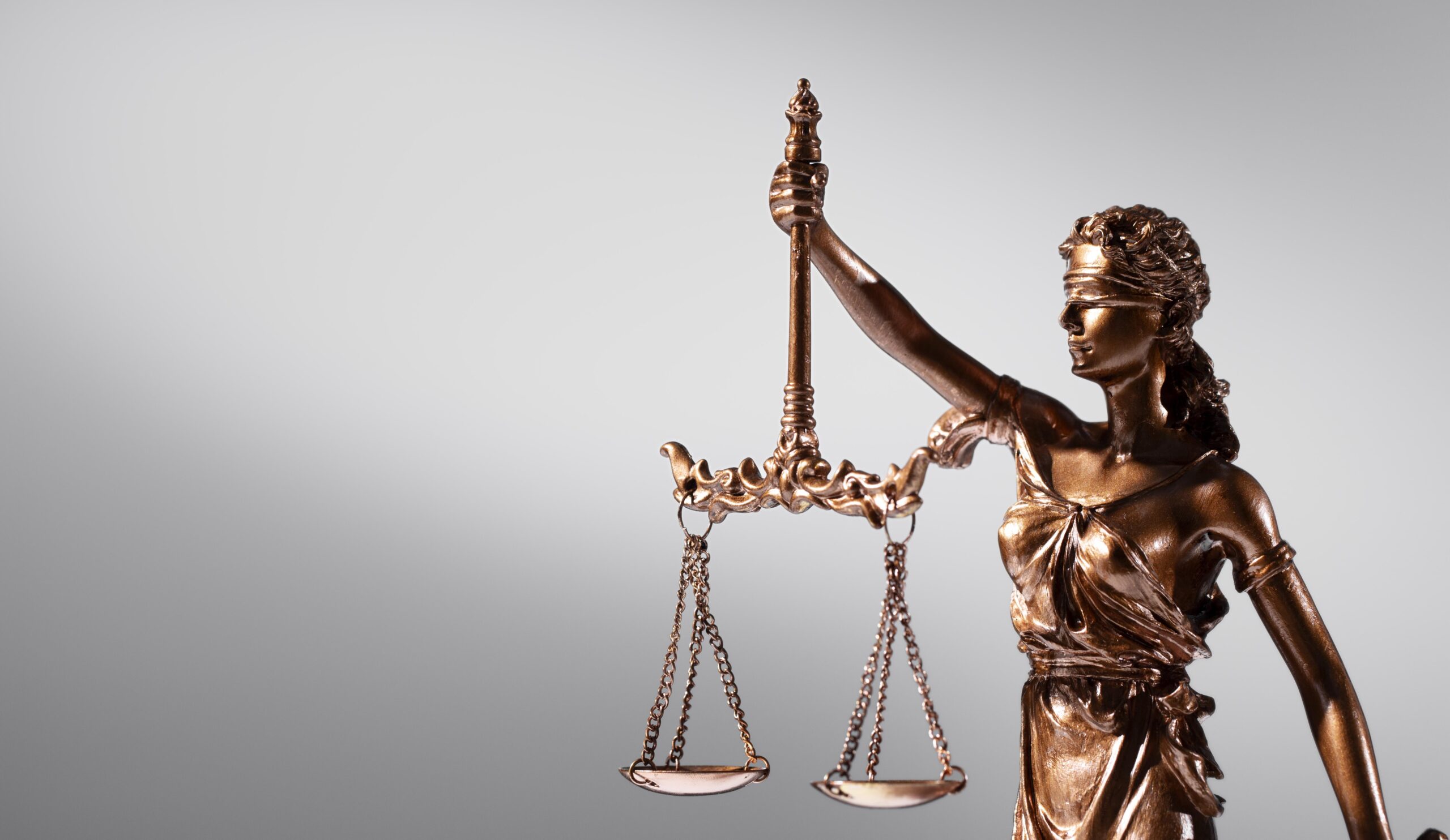 Cerca de 20% dos parlamentares têm formação na área do Direito.