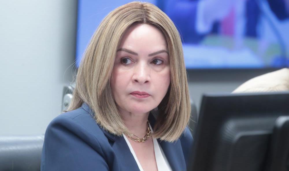 Governo e relatora declaram apoio a piso para técnicos em educação