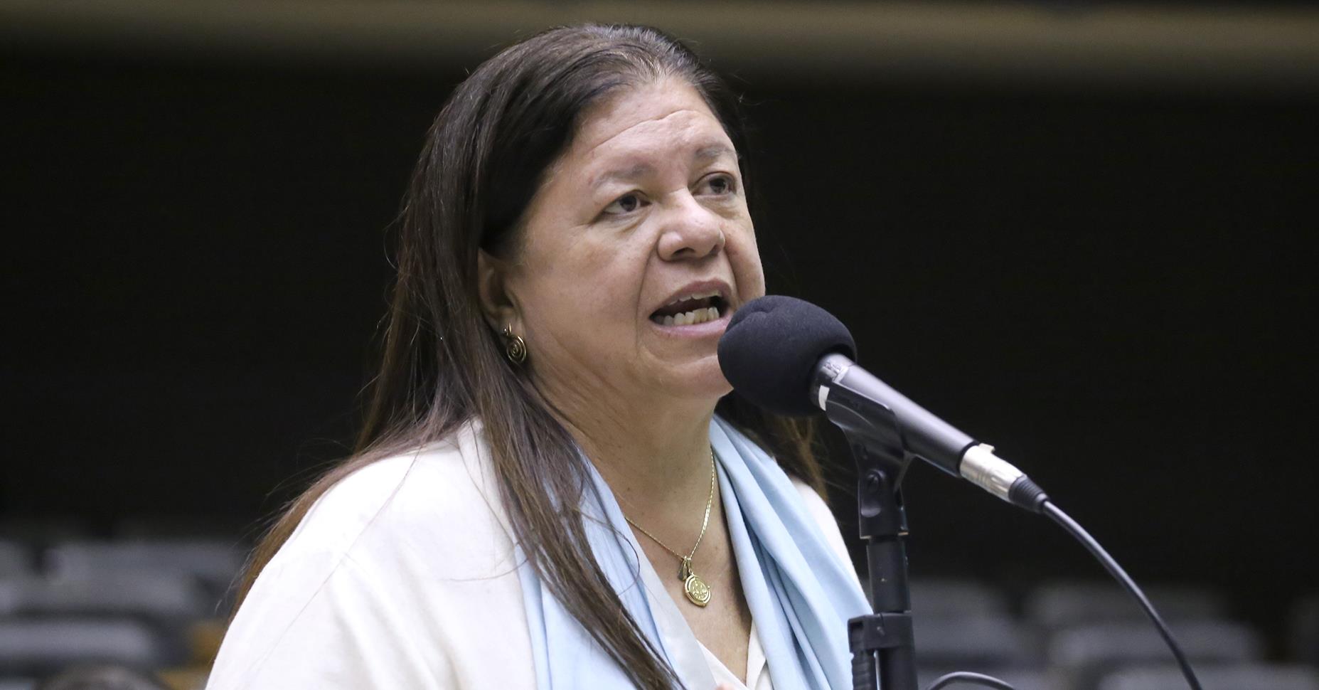 Laura Carneiro defende pensão para vítimas e filhos após condenação por violência