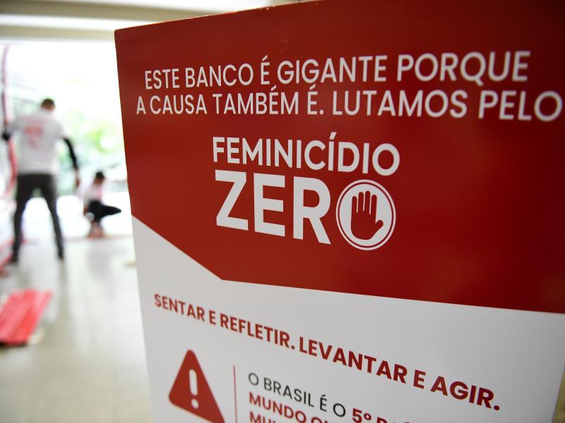 O Instituto do Banco Vermelho foi criado por Andrea Rodrigues e Paula Limongi.