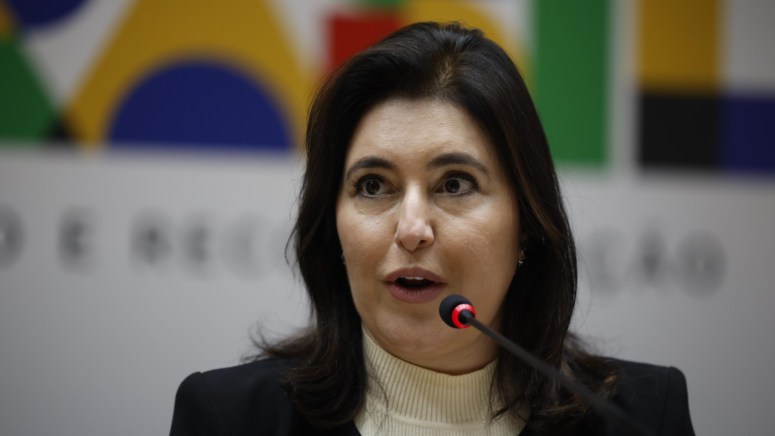 Ministra Simone Tebet discute subsídios e incentivos na CAE.
